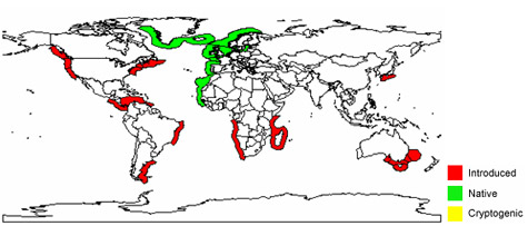 Map of Green Crab distribution in the World