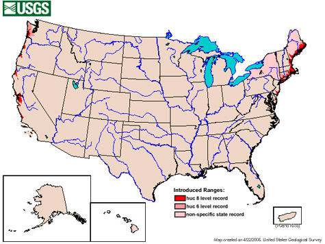 Map of Green Crab distribution in the United States